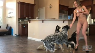 Perro lamiendo el trasero y la panocha de su dueña frente a la cámara web