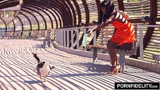 Belleza de ébano Ana Foxxx cogida por verga blanca