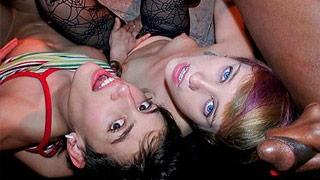 The Webmaskter - Cuarteto BDSM