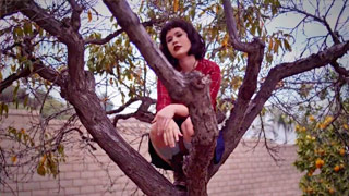 Baja del árbol chica hipster, que te la vas a pasar en grande. Yhivi