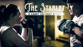 Casey Calvert es una estrella de Hollywood egoísta y quiere sexo anal con su ex