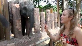 Karla Kush ve elefantes y se da un baño antes de echarse un palo