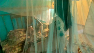 El espíritu cachondo de la casa abandonada del bosque